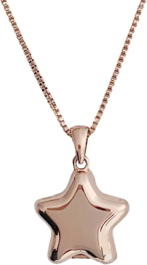 Honeycat Polly Star Photo Picture Locket Necklace in Gold, Rose Gold, and Jewelry | Minimalist, Delicate Jewelry