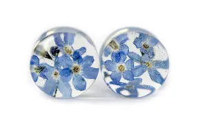 Resin Ear Plugs with Blue Forget Me Not. Wedding Plugs. Pressed Flower. Terrarium Ear Tunnel